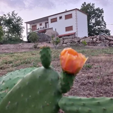 Quinta Do Cadaval Corticos