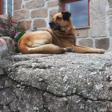 Κατάλυμα σε φάρμα Quinta Do Cadaval *