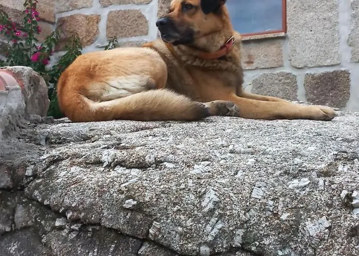 Gospodarstwo agroturystyczne Quinta Do Cadaval *